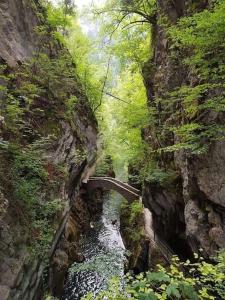 a bridge over a river in a canyon at Piccola oasi nella frescura delle Alpi tra verdi boschi e sorgenti di acqua purissima in Vanzone