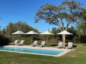 a group of chairs and umbrellas next to a pool at Mo & Rose at Soekershof in Robertson