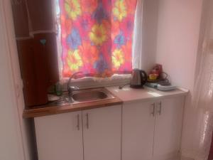 a kitchen counter with a sink and a window at U Villi BB2 Gornji Zalik bb in Mostar
