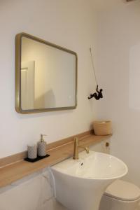 uma casa de banho com um lavatório e um espelho na parede em Glenarch House em Dalkeith