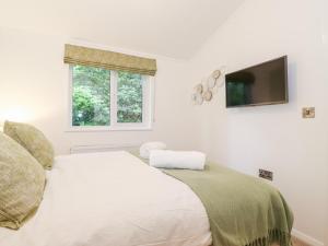 um quarto com uma cama e uma televisão na parede em Unique Luxury Lodge em Windermere