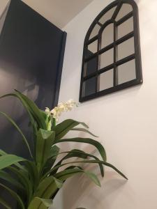 une plante dans un vase à côté d'un mur avec une fenêtre dans l'établissement La Terracotta Rer C -N104-A6, à Brétigny-sur-Orge