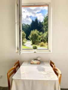 mesa y ventana con mesa y sillas en Útulný byt v Jizerských horách -Apartmán Mili en Kořenov