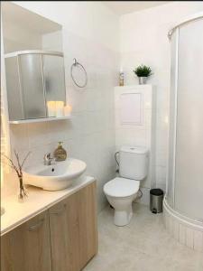 a white bathroom with a toilet and a sink at Útulný byt v Jizerských horách -Apartmán Mili in Kořenov