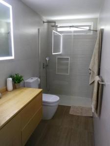 a bathroom with a shower and a toilet and a sink at Serene House in Playa del Hombre in Playa del Hombre