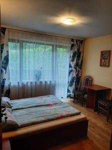 a bedroom with a bed with a window and a desk at Pokoje Gościnne Alicja in Wisła