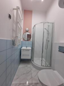 e bagno con doccia, servizi igienici e lavandino. di Bytom Moniuszki Studio 1 with sofa bed a Bytom