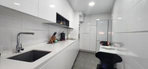 乌迪亚莱斯堡Apartamento Castro Holidays - con Parking incluido的带水槽和柜台的白色厨房