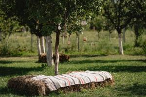 Afbeelding uit fotogalerij van La 2 pruni in Berindan