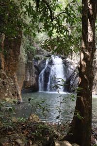 Galeriebild der Unterkunft Home stay wolokoro ecotourism in Bajawa + 51 Fotos