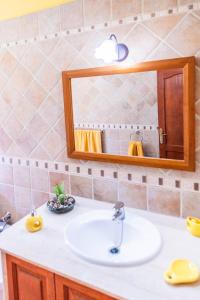 uma casa de banho com um lavatório e um espelho em Rosa de los james em Cardón