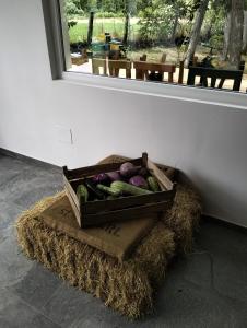una caja de verduras sentada sobre un montón de heno en AGRITURISMO TERRAPIA, en Moscufo