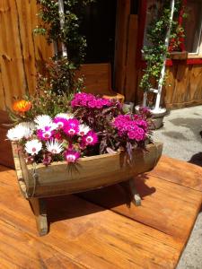 Foto dalla galleria di La Godille ad Andon