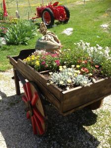 Foto dalla galleria di La Godille ad Andon