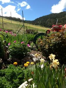 Foto dalla galleria di La Godille ad Andon