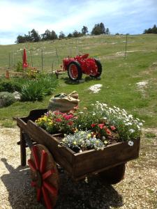 un carro de madera lleno de flores en un campo en La Godille en Andon