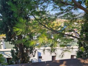un edificio blanco con árboles delante de él en Luxury new summer house, en Dalaman