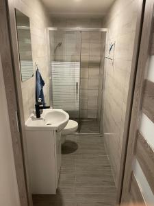 a white bathroom with a sink and a shower at Apartmán nad Bazilikou 2 in Třebíč