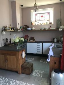 a kitchen with a sink and a counter top at Huis met de Leeuwenkoppen in Dieren
