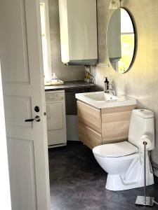 een badkamer met een toilet, een wastafel en een spiegel bij 1125 Fjällstugan in Lofsdalen