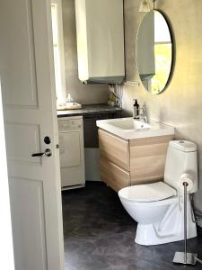 a bathroom with a toilet and a sink and a mirror at 1125 Fjällstugan in Lofsdalen +68 photos