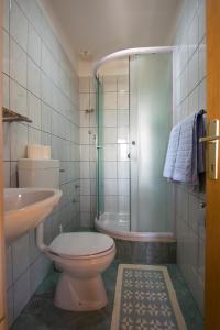 a bathroom with a toilet and a shower and a sink at Apartments Žile in Starigrad