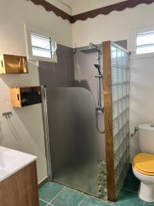 ein Bad mit einer Dusche und einem WC in der Unterkunft Baz créole in Deshaies