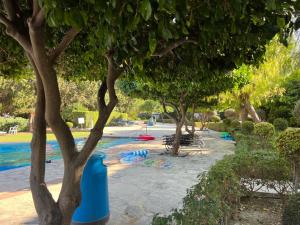 un parque con una piscina con árboles y un cubo de basura azul en Cozy Apartment in Paphos Beautiful Complex, en Pafos