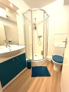 a bathroom with a shower and a toilet and a sink at Les 6 reflets du lac in Torcy