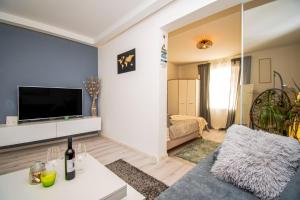 sala de estar con TV y sofá en Oasis apartment en Pula