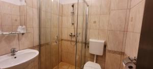 y baño con ducha, aseo y lavamanos. en Complex Turistic Perla Trascaului, en Rimetea