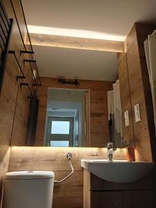 W łazience znajduje się umywalka, toaleta i lustro. w obiekcie Hoffberg Apartment w przyziemiu (ground floor) w mieście Lublin