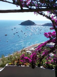 Blick auf einen Wasserkörper mit lila Blumen in der Unterkunft Hotel Villa al Mare in Ischia