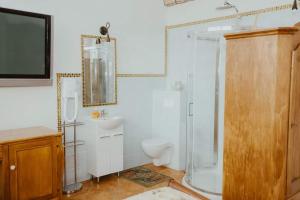 uma casa de banho com um chuveiro, um WC e um lavatório. em Da Enzo em Murów
