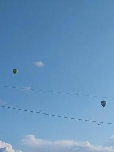 ブシュプにあるTam's zolderの空を飛ぶ凧の群れ