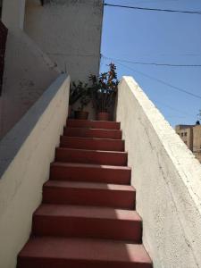 グアダラハラにあるHABITACION COMODAの鉢植えの階段