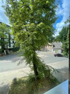 a tree covered in ivy on the side of a street at Bougie Boutique Agenskalns in Rīga +4 photos