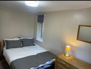 a bedroom with a bed and a mirror and a lamp at Netherton Studio Apartment 1 in Llandrillo-yn-Rhôs