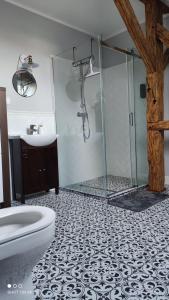 La salle de bains est pourvue d'une douche, de toilettes et d'un lavabo. dans l'établissement Siedlisko Barnabówka, à Wydminy