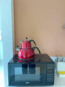 Sarıyer的住宿－Sarıyer Luxury Seaside Dublex by Bosphorus，微波炉上方的红茶水壶