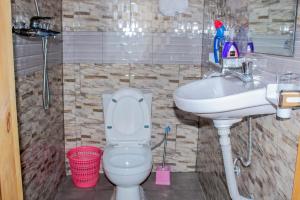 a bathroom with a toilet and a sink at Green Safaris Apartment in Rubavu