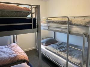 2 łóżka piętrowe w pokoju z innym łóżkiem w obiekcie Blue Room Hostel Newquay w Newquay