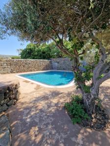 una piscina con un albero accanto a un muro di pietra di Il Paradiso nascosto a Pantelleria