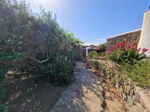 un sentiero nel giardino con piante e un muro di mattoni di Il Paradiso nascosto a Pantelleria