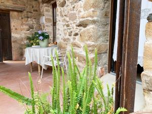 een tafel en een plant voor een stenen gebouw bij La Grulla Gris in Perales del Puerto