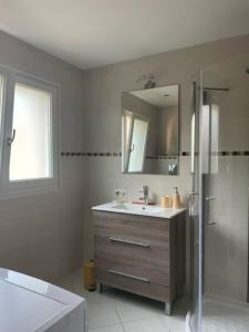 uma casa de banho com um lavatório, um espelho e um chuveiro em La Parenthèse gîte à la campagne em Fougerolles