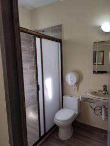 ein Bad mit einem WC und einem Waschbecken in der Unterkunft Hotel Posada California in Aguascalientes