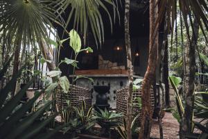 Zahrada ubytování Siwa Tulum Unique Hotel & Spa
