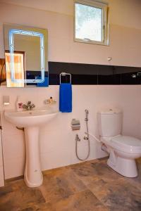 a bathroom with a sink and a toilet and a mirror at Saayoo Resort in Negombo