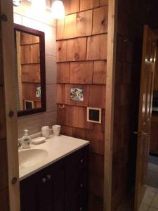 y baño con lavabo y espejo. en Well-appointed ADK cabin directly on 106’ water!, 